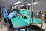 揭秘防靜電膠皮背后的健康風險：選擇正規渠道，遠離偽劣產品